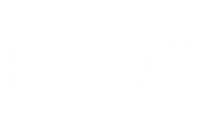 Palk Logo Rodapé